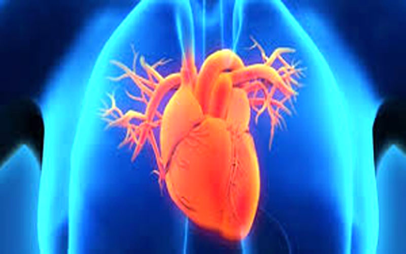 मुटुलाई असर गर्ने यी बानी त्यागौं